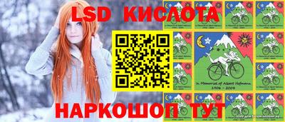 мяу мяу мука Михайловск