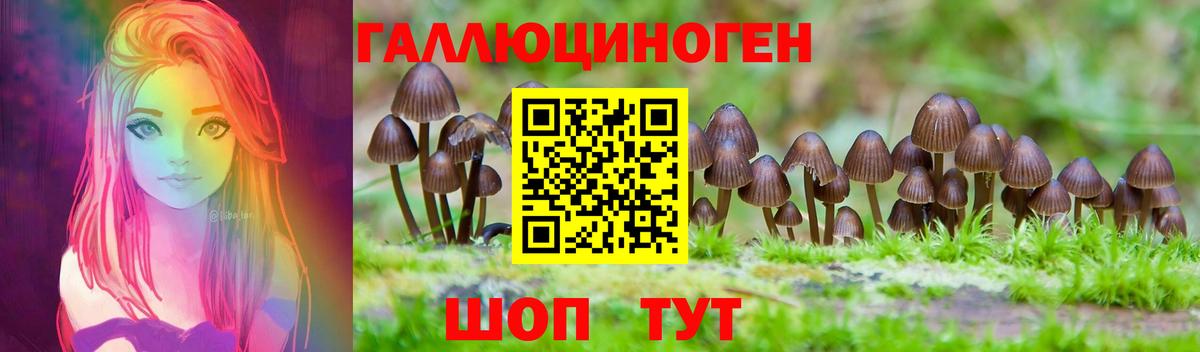Галлюциногенные грибы MAGIC MUSHROOMS  Псилоцибиновые грибы GOLDEN TEACHER  Вход с VPN  Топки 