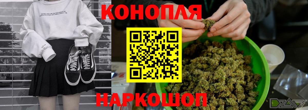 Бошки Шишки ГИДРОПОН  Каннабис индика  Топки  МАРИХУАНА тримм  Вход с VPN 
